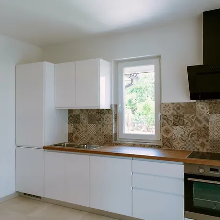 House Buzdonka *