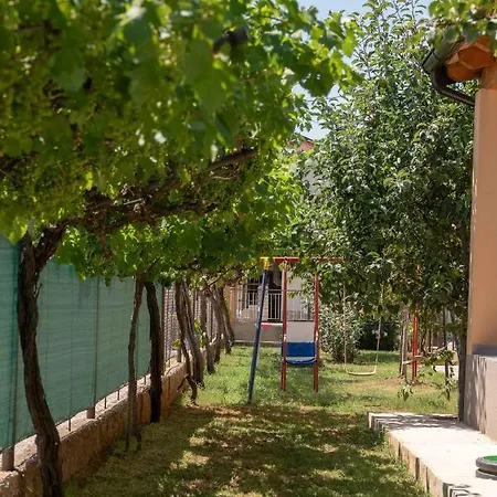 House Buzdonka